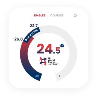 World Tennis Number scale